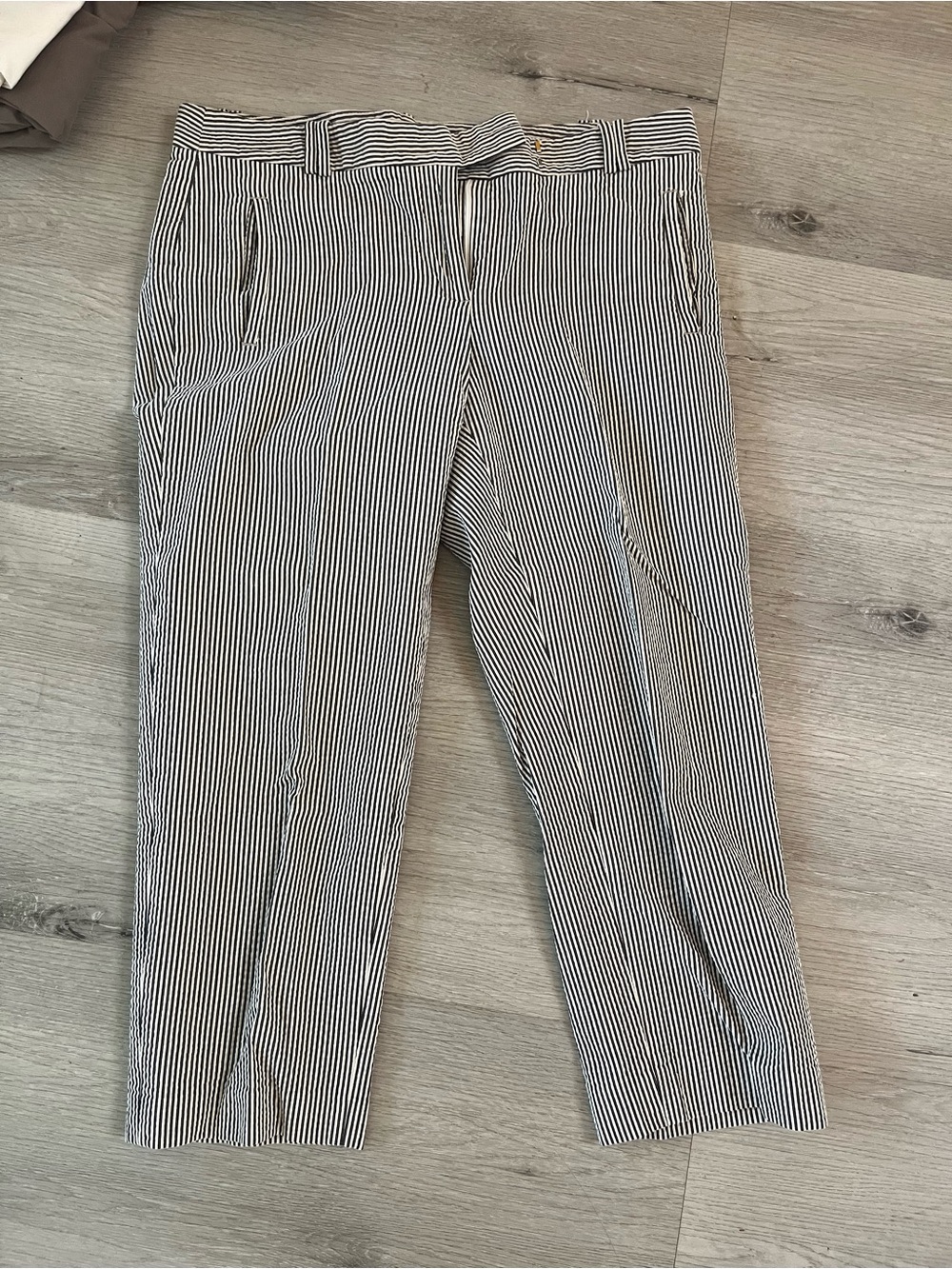 LOFT Black and White Pinstripe Chinos